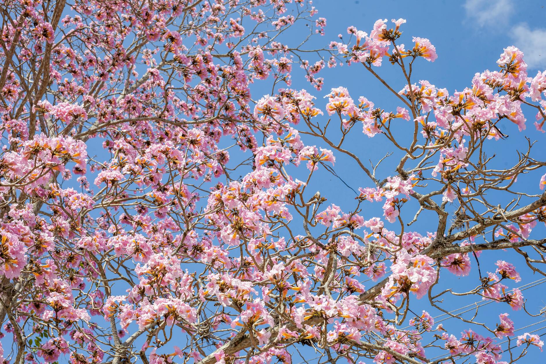 Szczyrk w marcu 2026 – prognoza pogody dla turystów